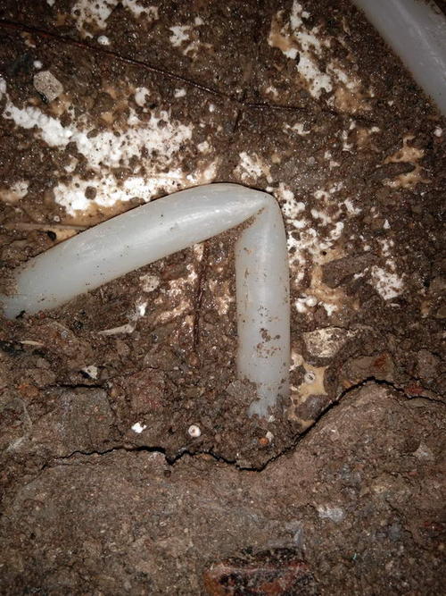 周宁堵点精准查找